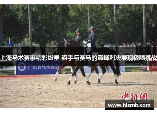 上海马术赛事精彩纷呈 骑手与赛马的巅峰对决展现极限挑战